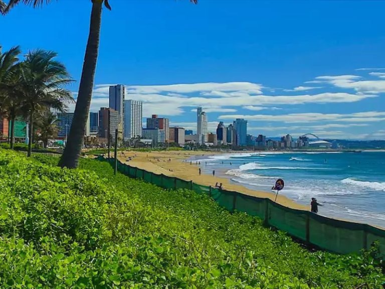 12 Things to Do In Durban