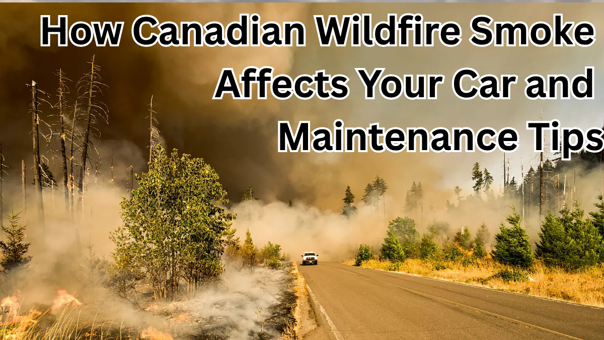 How Canadian Wildfire Smoke Affects Your Car and Maintenance Tips