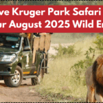 Exclusive Kruger Park Safari Deals – Plan Your August 2025 Wild Encounter
