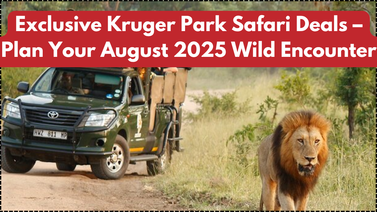 Exclusive Kruger Park Safari Deals – Plan Your August 2025 Wild Encounter