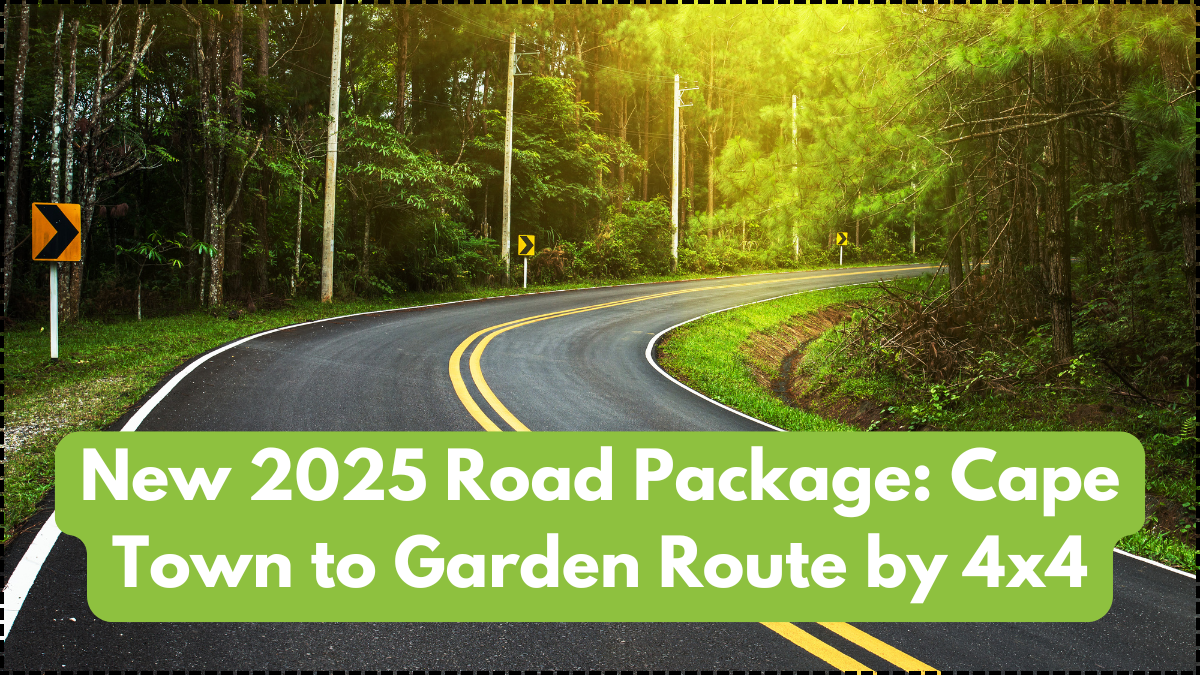 New 2025 Road Package: Cape Town to Garden Route by 4x4