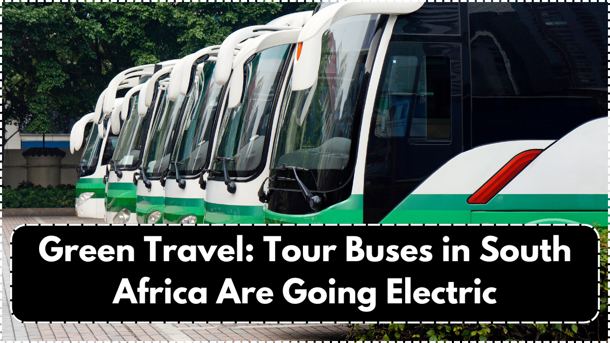 Green Travel: Tour Buses in South Africa Are Going Electric