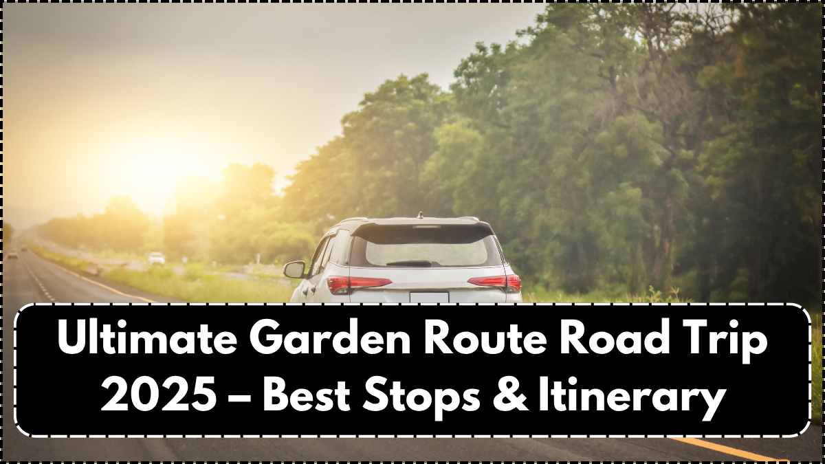 Ultimate Garden Route Road Trip 2025 – Best Stops & Itinerary