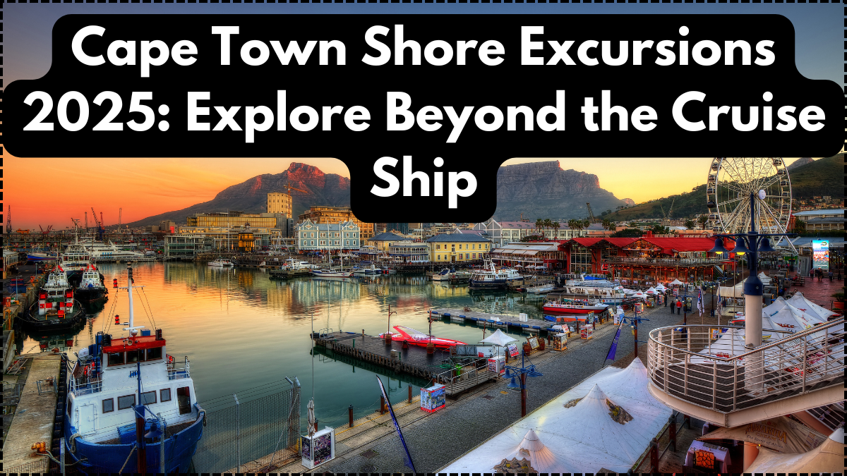 Cape Town Shore Excursions 2025: Explore Beyond the Cruise Ship
